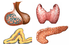 Weet wat je meet! Pitfalls van HbA1c en cholesterol meting.